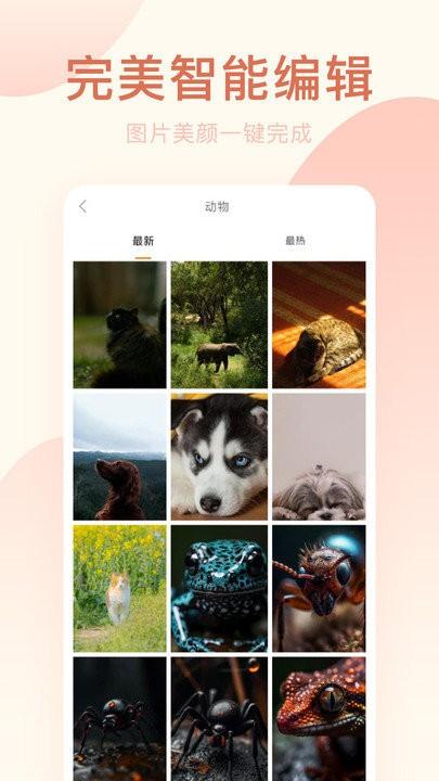 美颜神器软件下载,美颜神器,美颜app